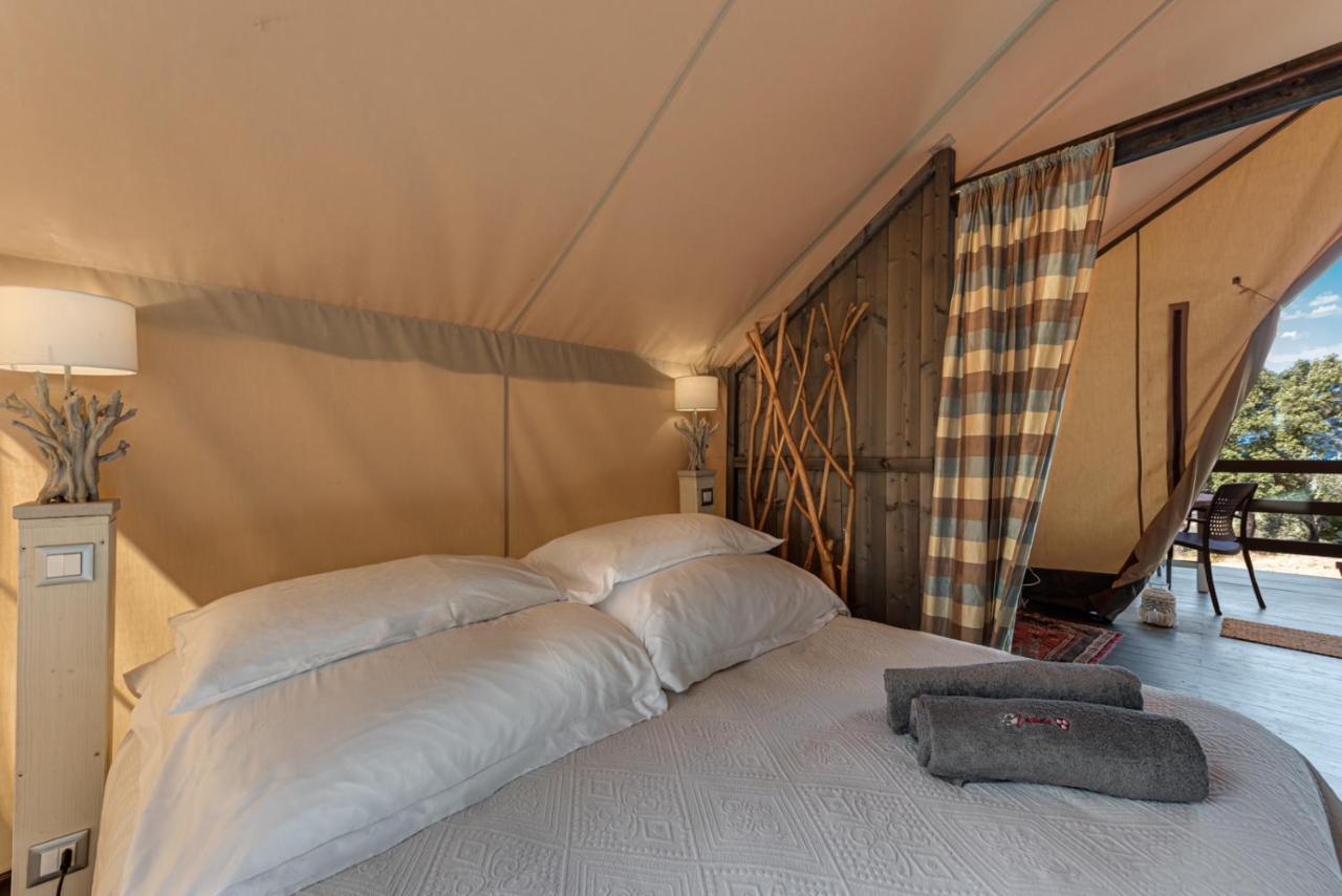 Tent Safari,1186294312:JPEG