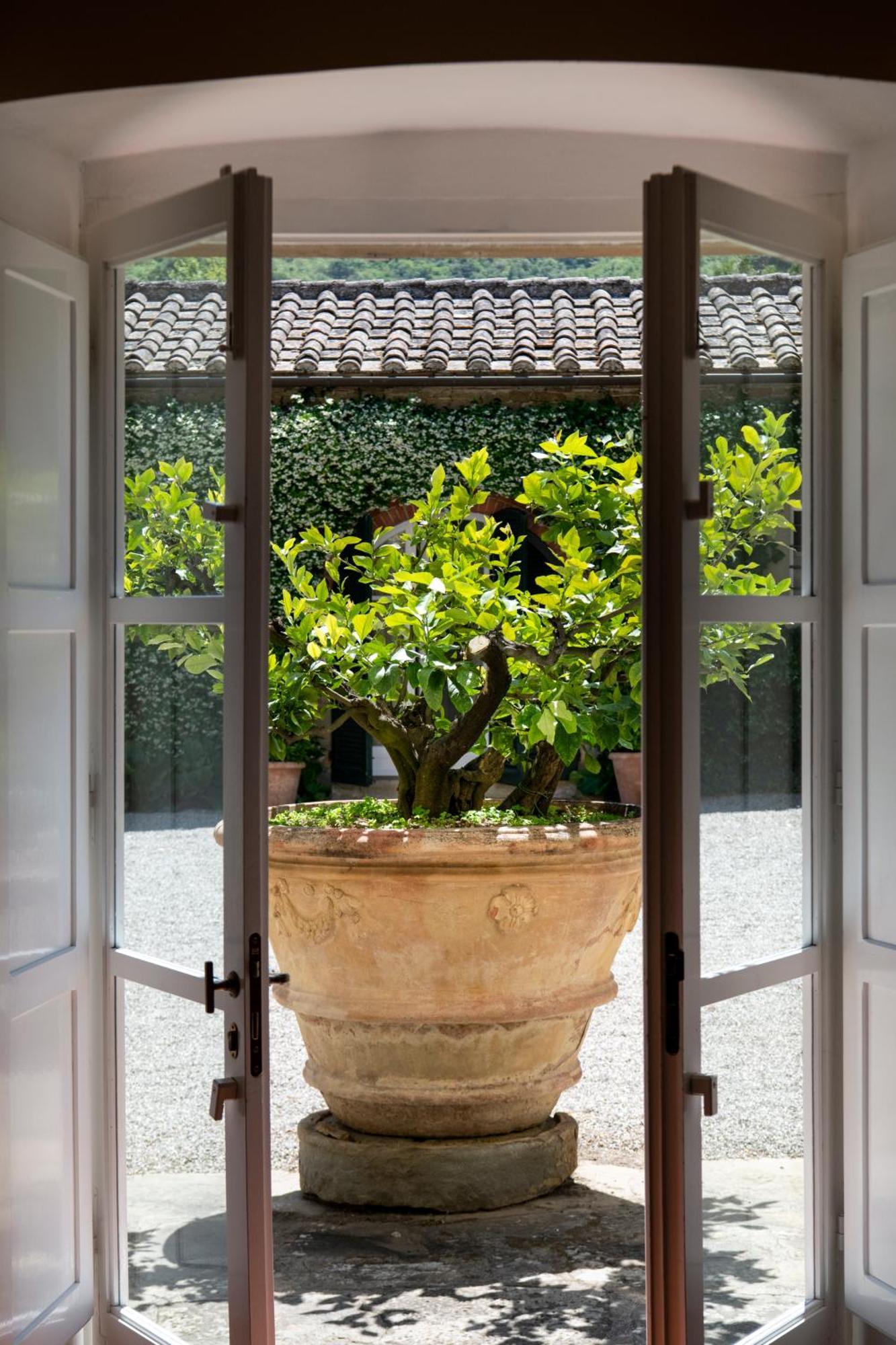 Courtyard Suite,1772884847:JPEG