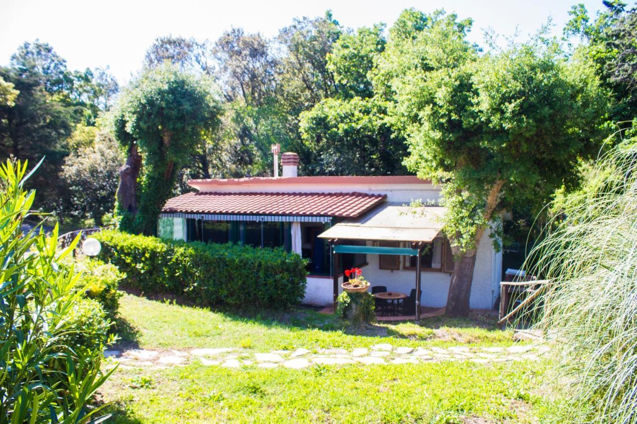 Two-Bedroom House,1288254520:JPEG
