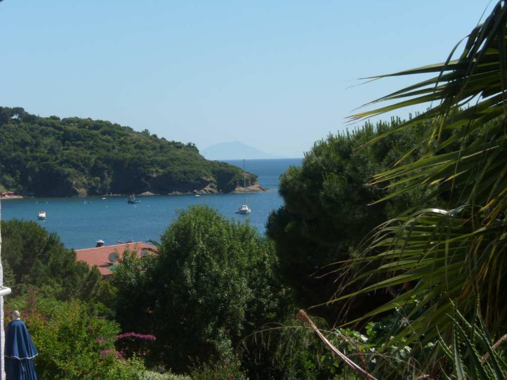 One-Bedroom Apartment,1292598802:JPEG