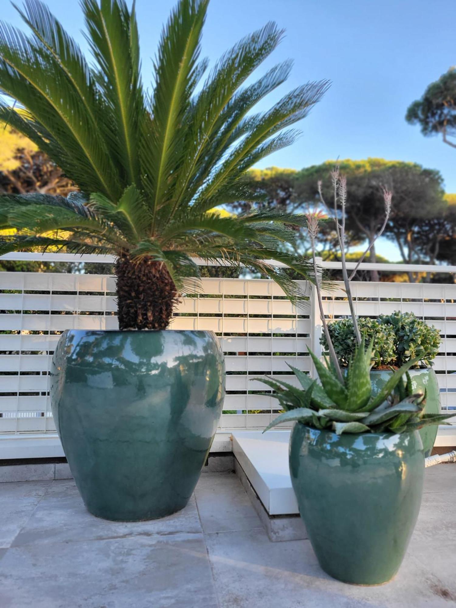 Double Room Garden View