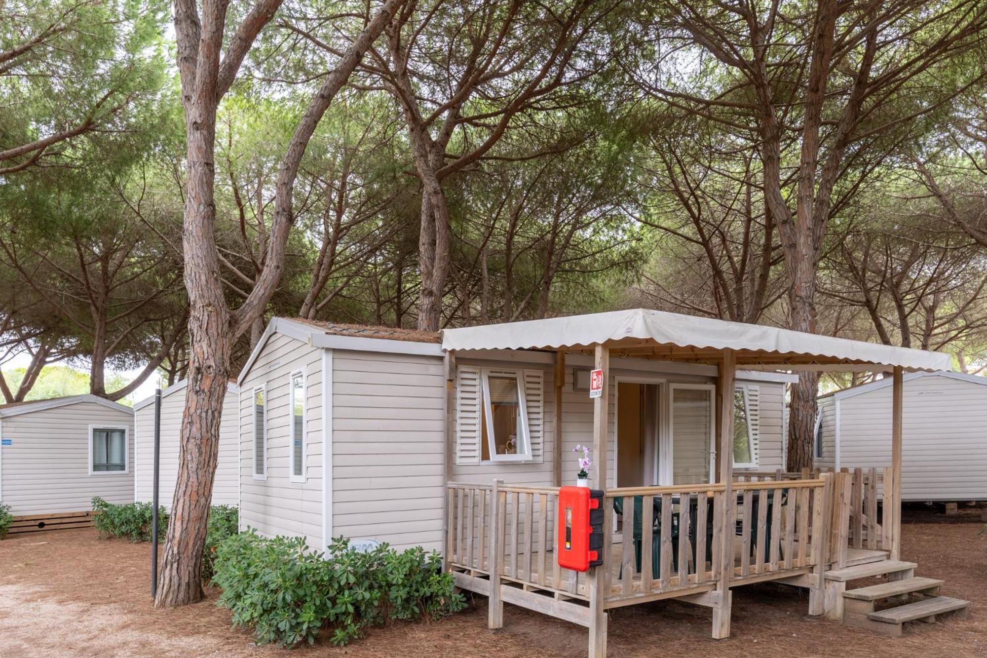 Standard Mobile Home Pet not allowed