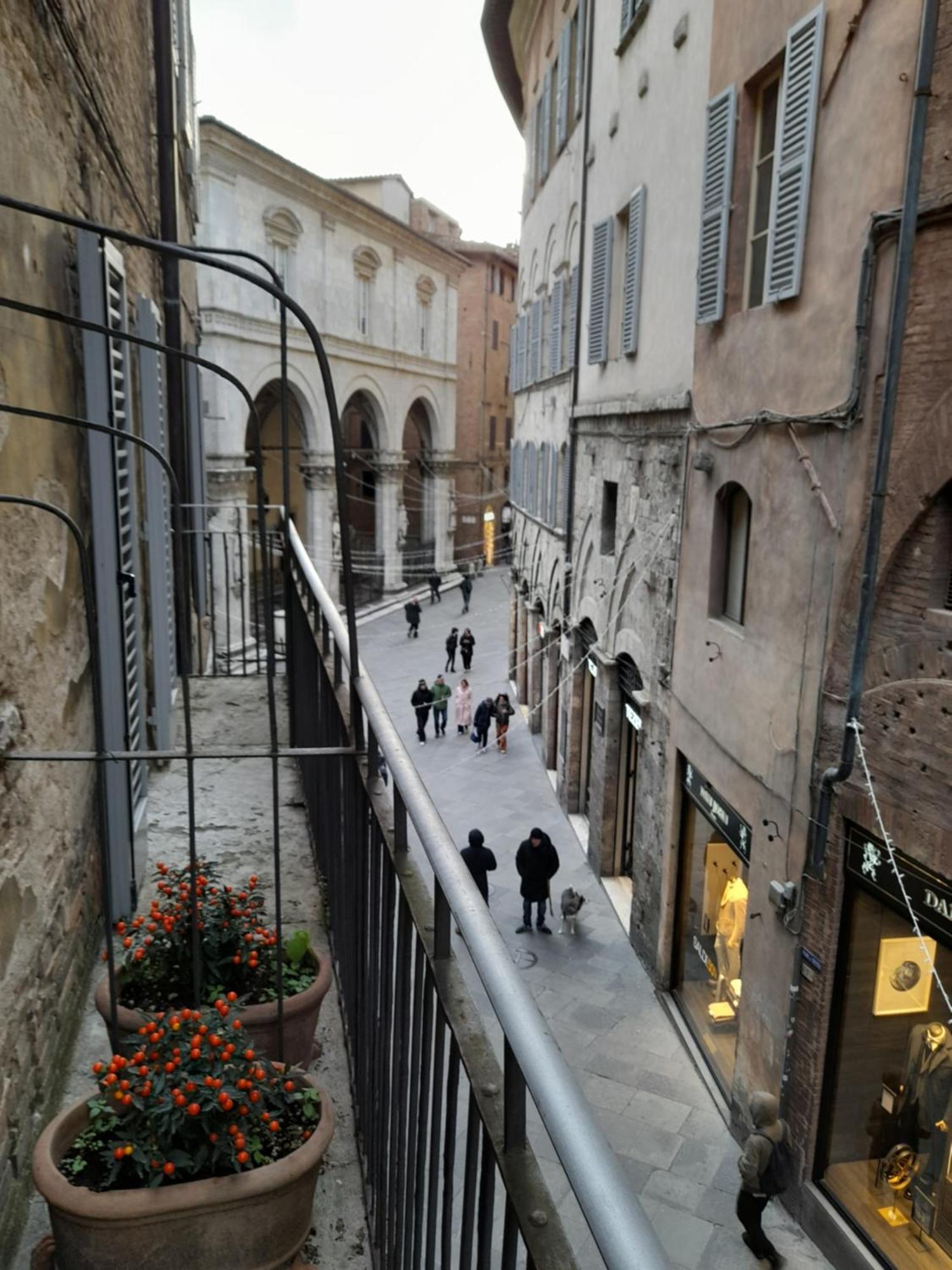 Junior Suite Terrace,18707999: