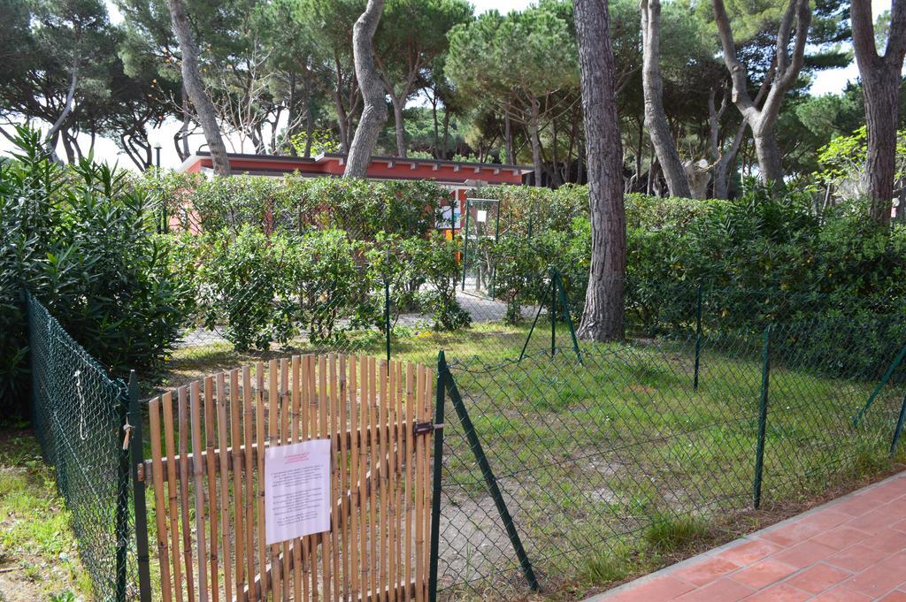 Apartment Ground Floor
