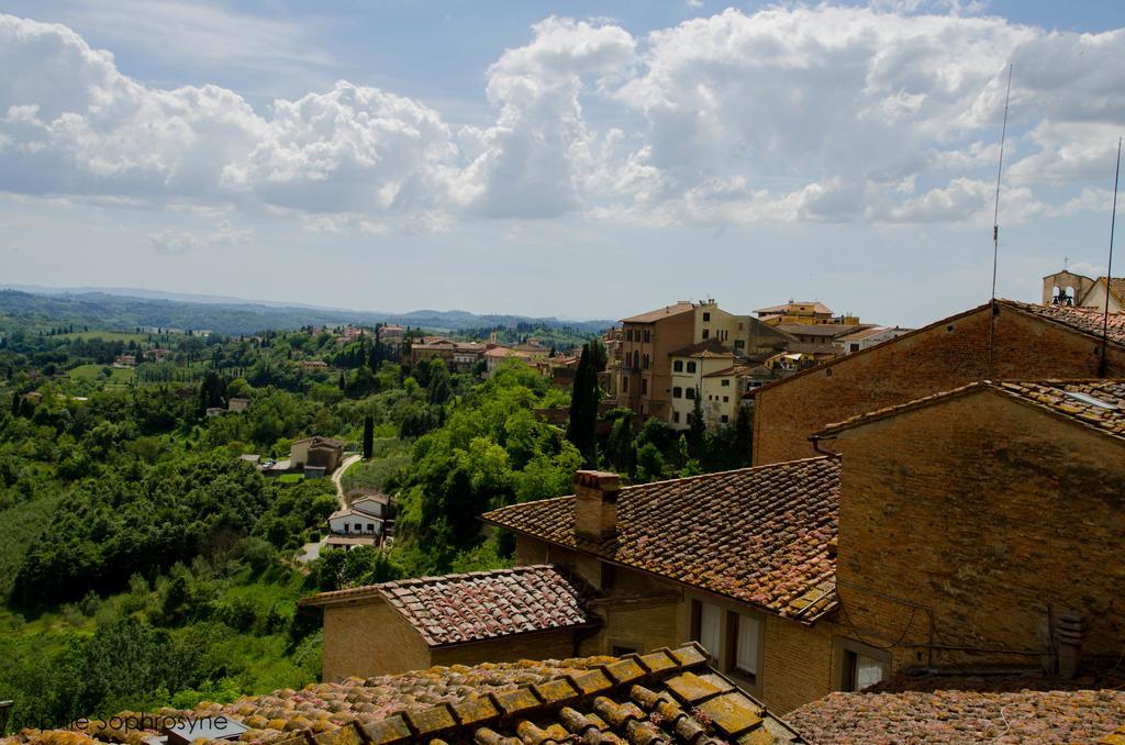 Double or Twin Room View