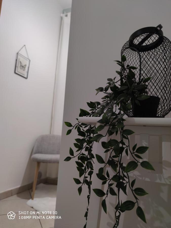 Superior Double Room,976699423:JPEG