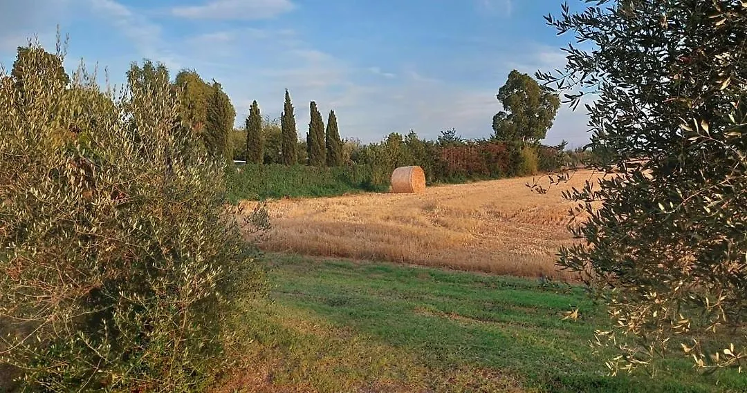 Il Cantuccio-1