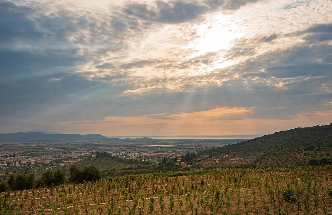 Castello Bonaria Wine & Spa Resort-1