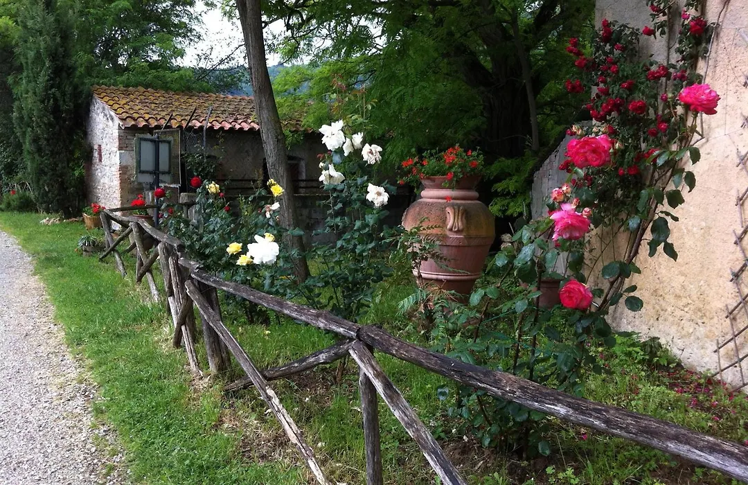 Fattoria Di Fugnano-1