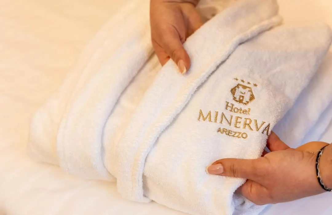 Hotel Minerva-1