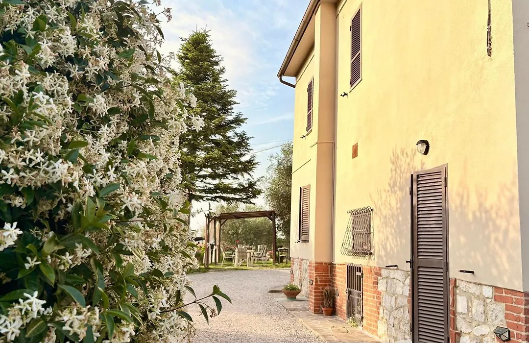 B&B Il Pozzo-1