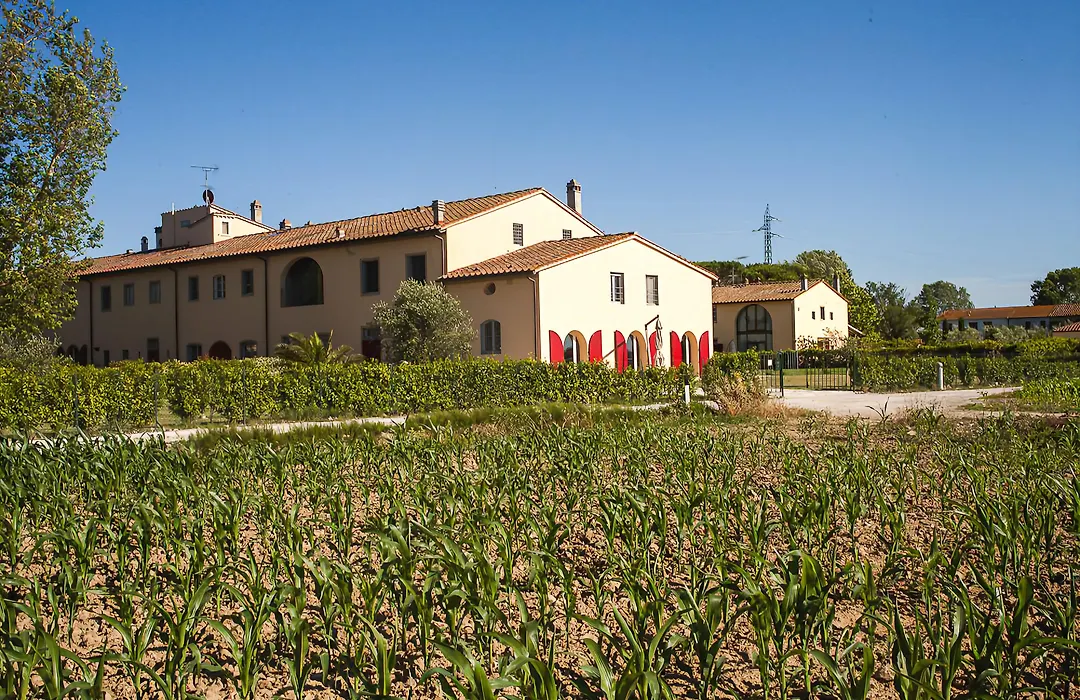 Cascina Canova B&B-1