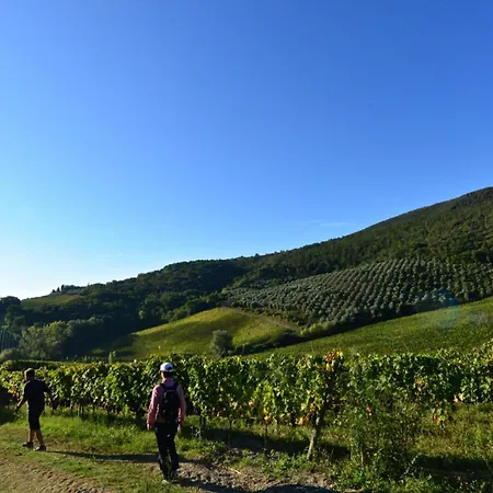 Fattoria Di Fugnano-3