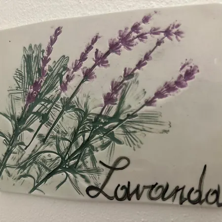 Il giardino dei limoni-2