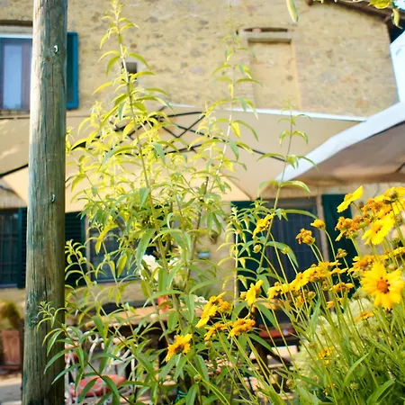Il Casale-3