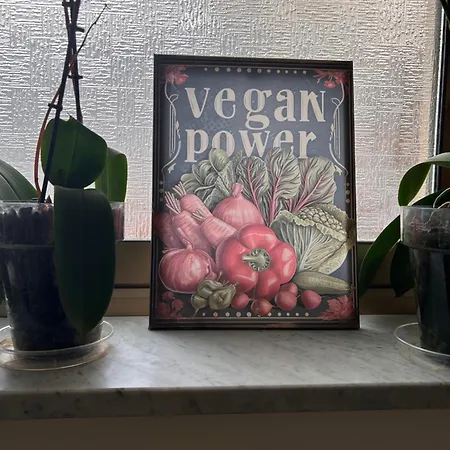 Hotel Lukas Vegetarian & Vegan-2
