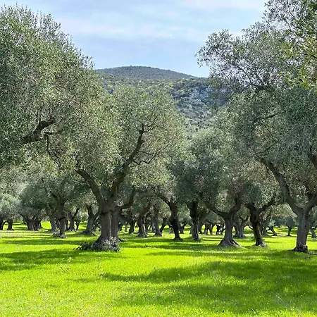La Cianella - Adult Only-2