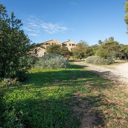 Gelsomina- Agriturismo La Valentina-3