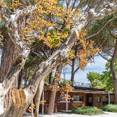 Club Del Sole Viareggio Family Collection-2