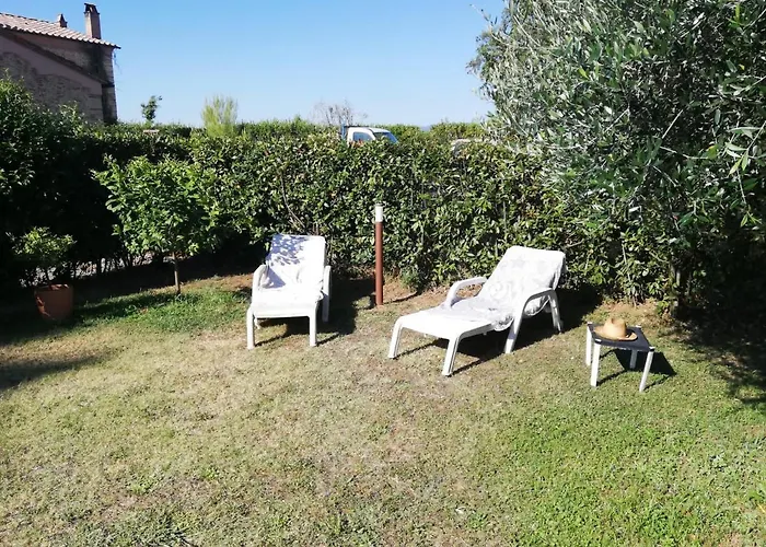 L'Aia degli olivi
