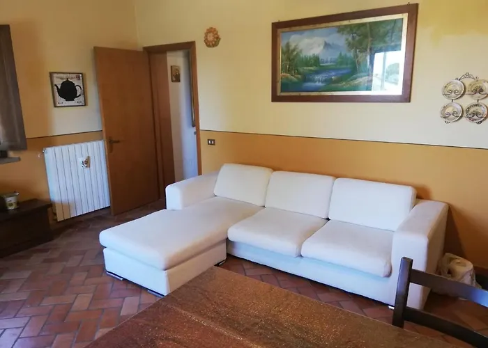 L'Aia degli olivi