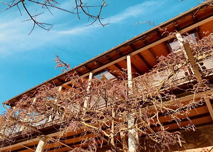 B&B La Fucinaia Pet Friendly (Adults Only)