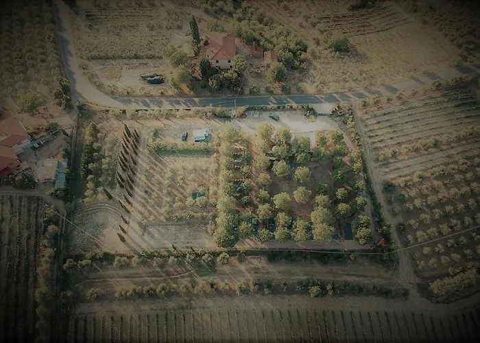 Agricamping Poggio Ai Pini Wine Camping