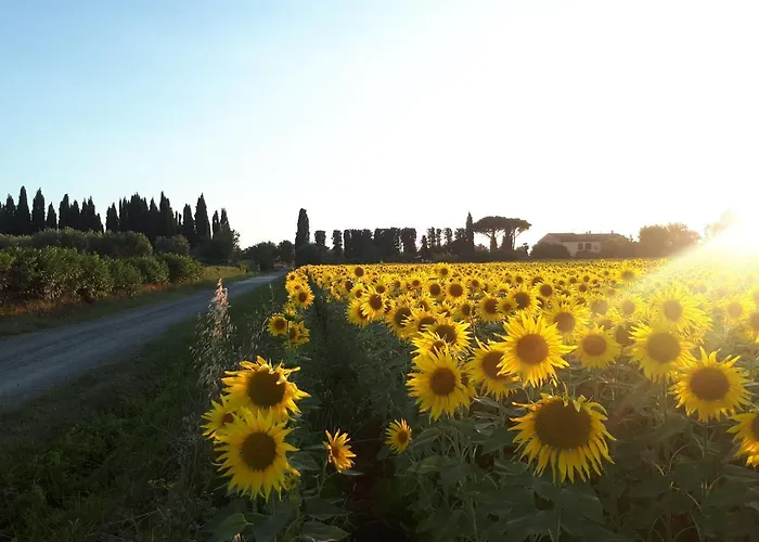 Il Bosco Agriturismo