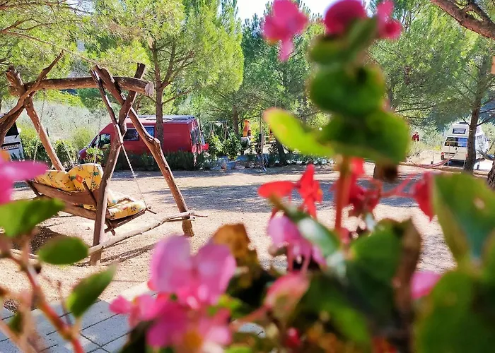 Agricamping Poggio Ai Pini Wine Camping