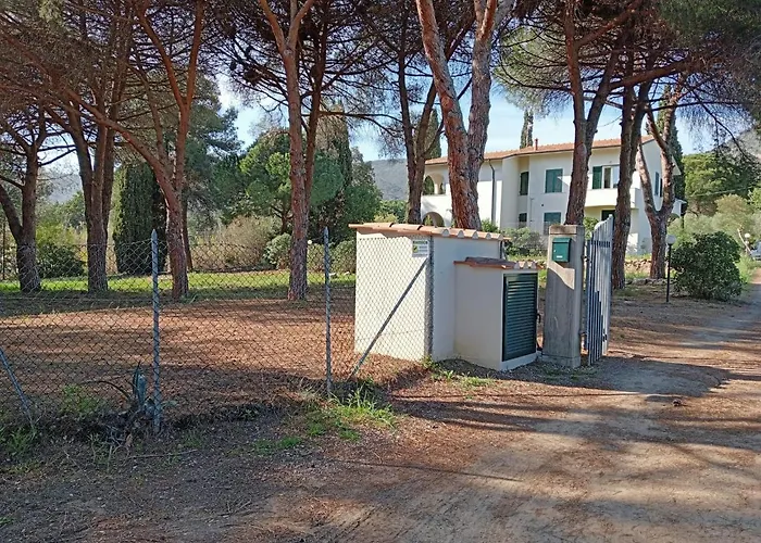 Riccio di Mare