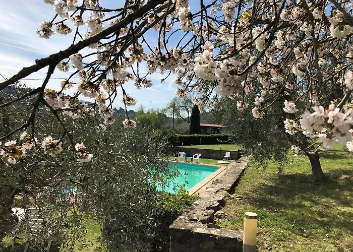 Podere Zelmira