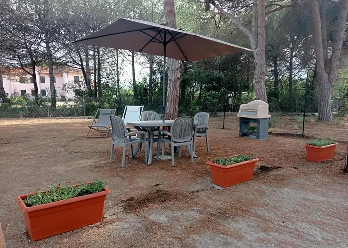 Riccio di Mare