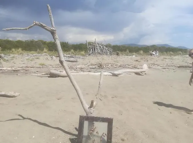 Principina Mare appartamento vacanze pineta Tinca