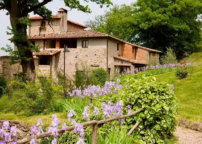 Villa Farmhouse With Swimming Pool In Chianti