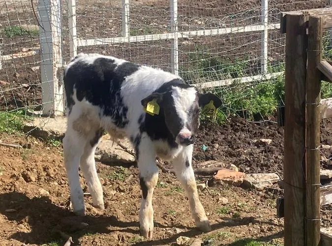 Il Casale de I Casali del Troscio