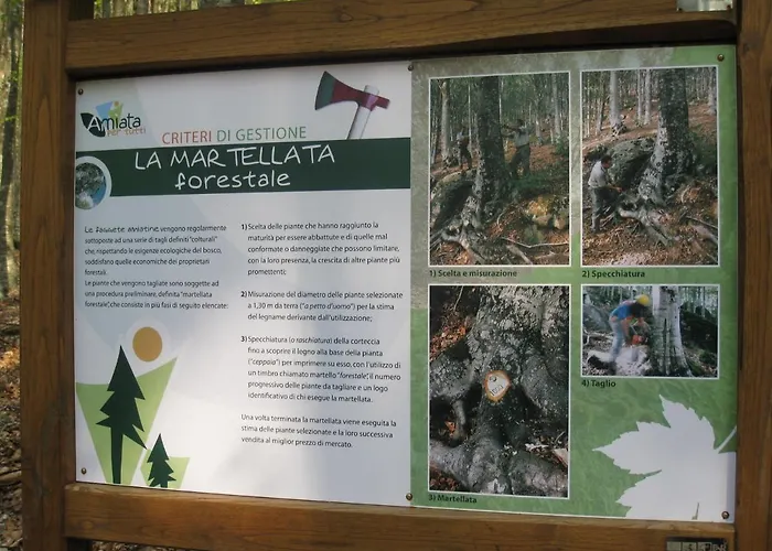 Casa nel bosco alle Macinaie