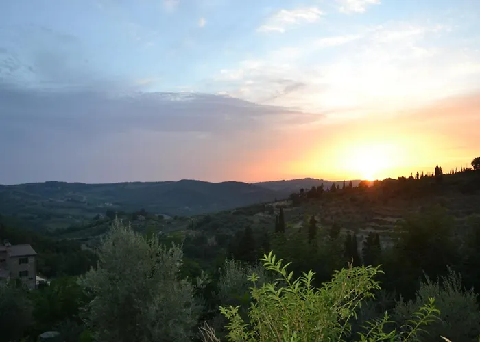 La Cipressa