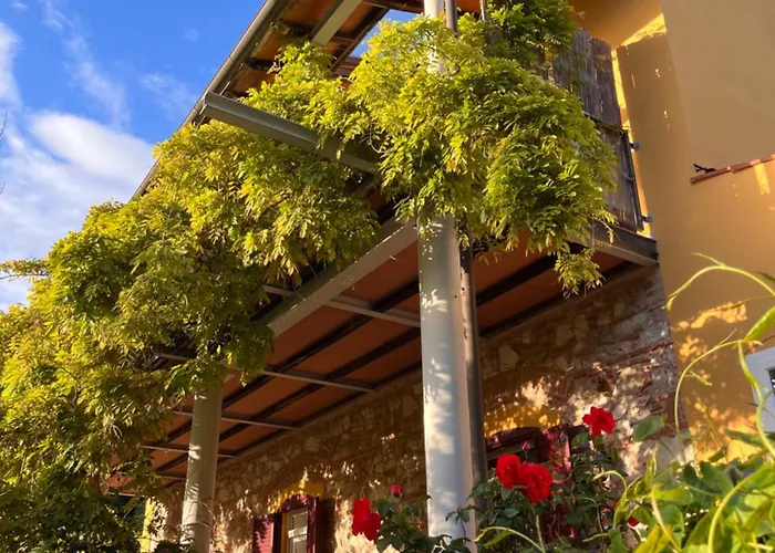 B&B La Fucinaia Pet Friendly (Adults Only)
