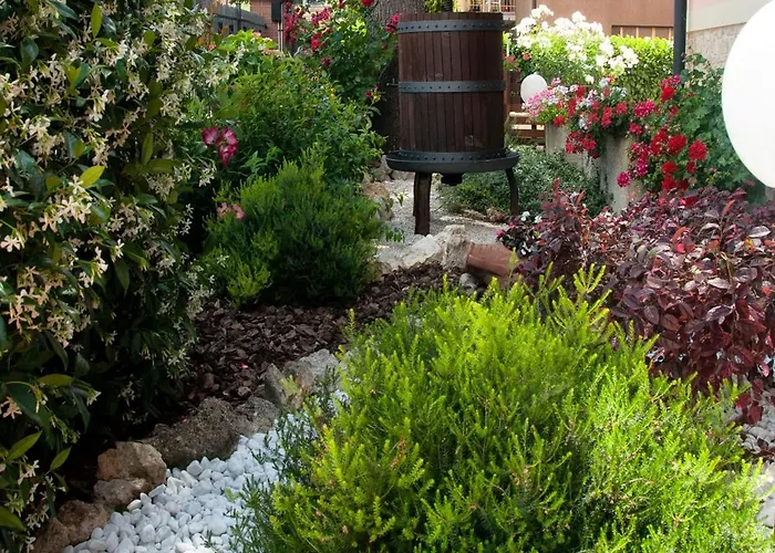 Le Bassotte b&b
