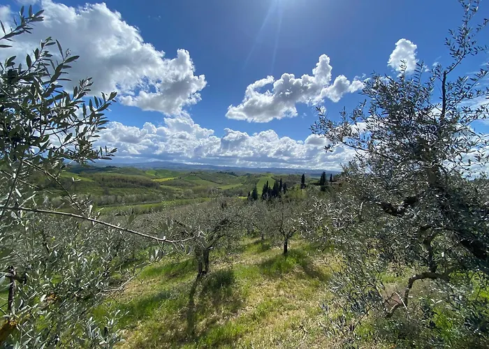 La Torretta, La Bellavista Toscana