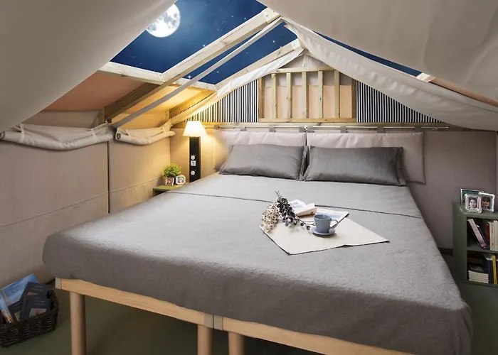 Blu International Camping