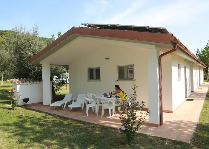 Blu International Camping