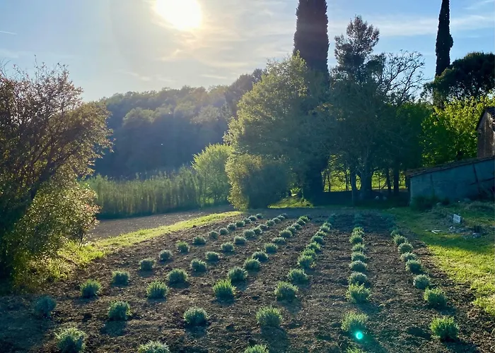 Casa Vacanze Podere San Giusto Volterra