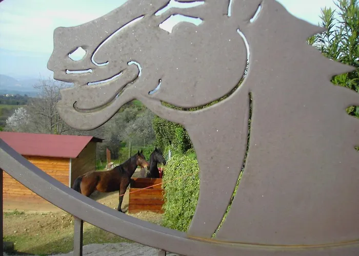 Agriturismo Poggio del Drago