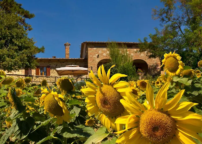 Poggio Cantarello Vacanze