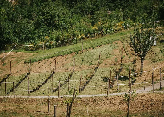 Agricampeggio Cà di Mazza