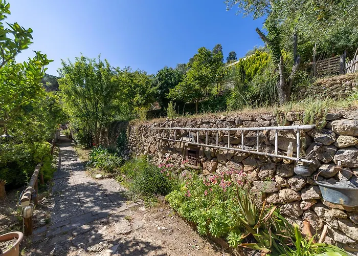 Cottage Pura Vigna immerso nella natura vicino al mare