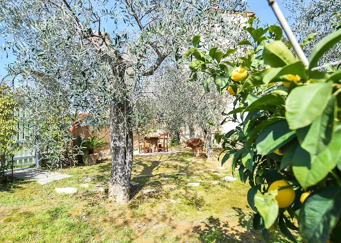 Cozy Home In Massarosa With Kitchen