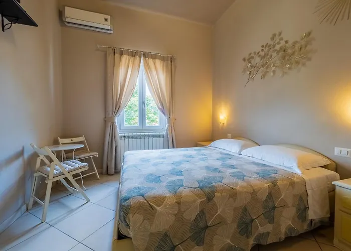 B&B Alma