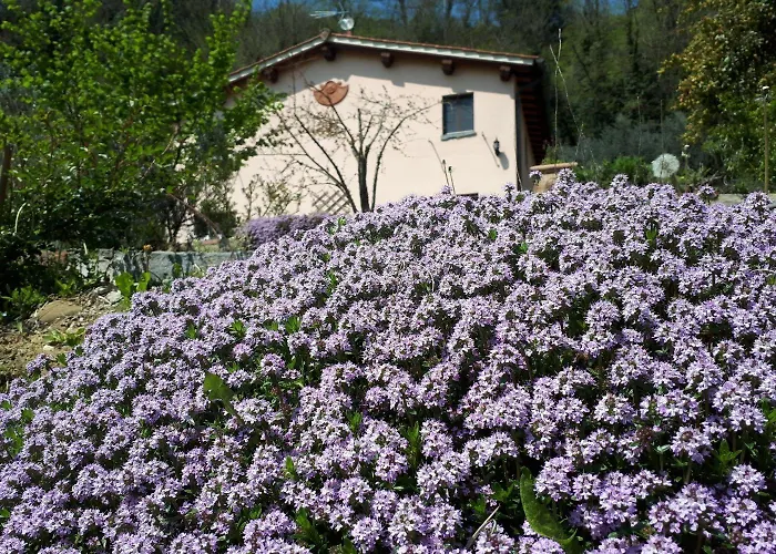 A'Loro B&B